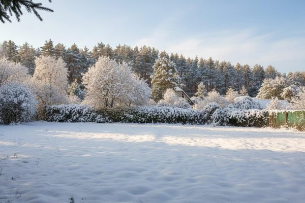 Продается дача с/т. Трактор - фото 6