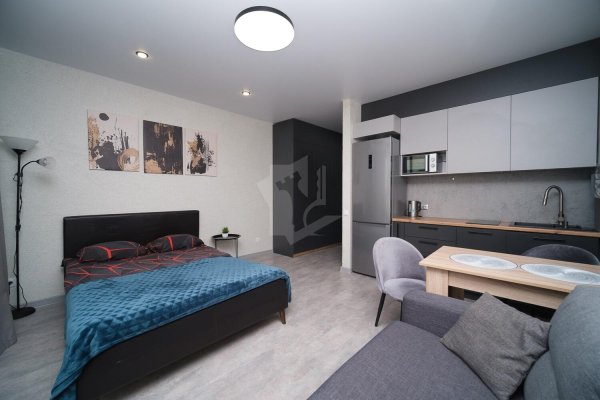 1-комнатная квартира по адресу Жореса Алфёрова ул., д. 9 - фото 2