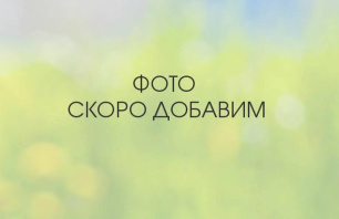 Фотография Продается дом Лошанский с/с - фото 1