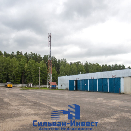 Фотография Продается торговое помещение по адресу г. Минск, Павловского ул., д. 11 - фото 6
