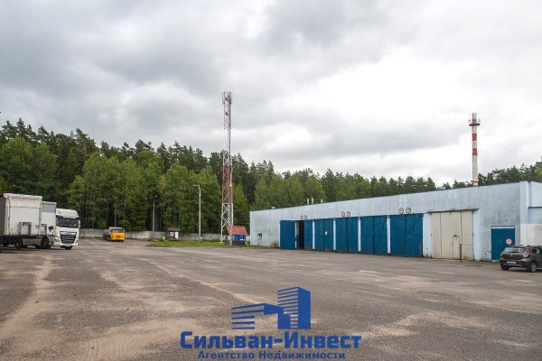 Продается торговое помещение по адресу г. Минск, Павловского ул., д. 11 - фото 6
