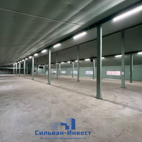 Фотография Сдается производственное/складское помещение по адресу д. Кирши, Центральная ул., д. 17 - фото 2