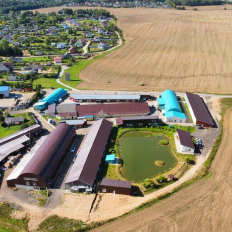 Фотография Сдается производственное/складское помещение по адресу д. Кирши, Центральная ул., д. 17 к. Б/4 - фото 16