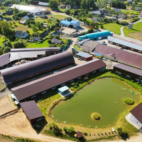 Фотография Сдается производственное/складское помещение по адресу д. Кирши, Центральная ул., д. 17 к. Б/4 - фото 4