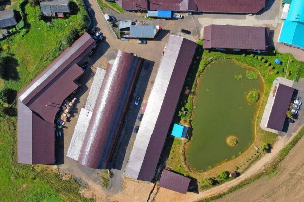 Сдается производственное/складское помещение по адресу д. Кирши, Центральная ул., д. 17 к. Б/4 - фото 2