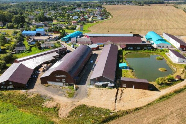 Сдается производственное/складское помещение по адресу д. Кирши, Центральная ул., д. 17 к. Б/4 - фото 3