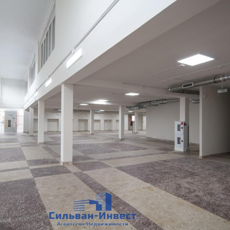 Фотография Сдается торговое помещение по адресу г. Минск, Победителей просп., д. 101 к. 1 - фото 17