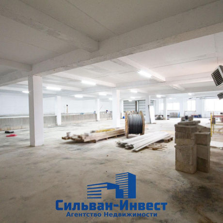 Фотография Продается производственное/складское помещение по адресу д. Кирши, Центральная ул., д. 17 к. Б11 - фото 12