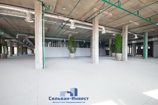 Продается производственное/складское помещение по адресу г. Минск, Свердлова ул., д. 11 - фото 6