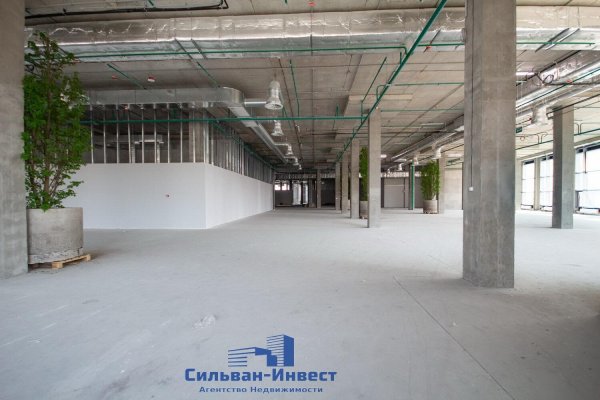 Продается производственное/складское помещение по адресу г. Минск, Свердлова ул., д. 11 - фото 7