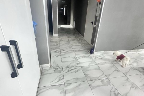 Сдается торговое помещение по адресу г. Минск, Дзержинского просп., д. 26 - фото 5