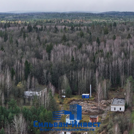 Фотография Продается торговое помещение по адресу Ждановичский с/с, , д. 70 - фото 8