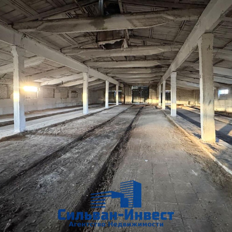 Фотография Продается производственное/складское помещение по адресу Лошанский с/с, , д. 18 - фото 5