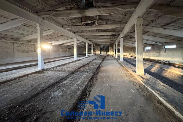 Продается производственное/складское помещение по адресу Лошанский с/с, , д. 18 - фото 5