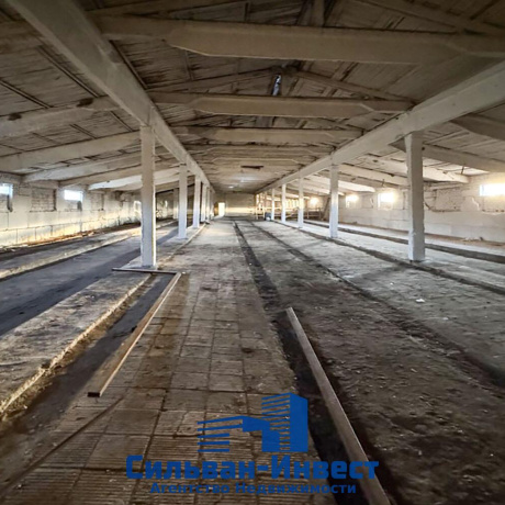 Фотография Продается производственное/складское помещение по адресу Лошанский с/с, , д. 18 - фото 6