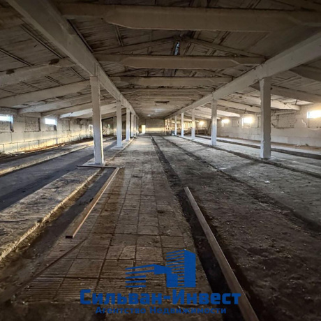 Фотография Продается производственное/складское помещение по адресу Лошанский с/с, , д. 18 - фото 7