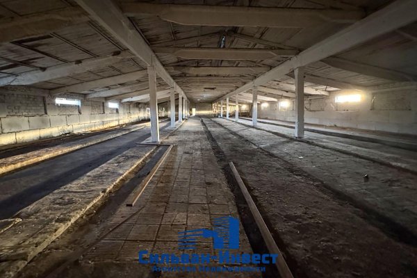 Продается производственное/складское помещение по адресу Лошанский с/с, , д. 18 - фото 7