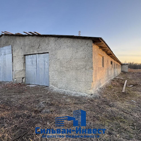 Фотография Продается производственное/складское помещение по адресу Лошанский с/с, , д. 18 - фото 11
