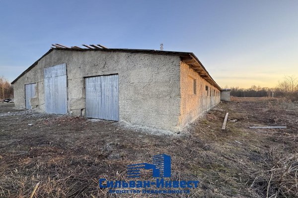 Продается производственное/складское помещение по адресу Лошанский с/с, , д. 18 - фото 11
