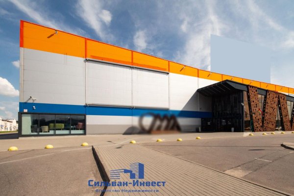 Продается торговое помещение по адресу Боровлянский с/с, , д. 97 - фото 10