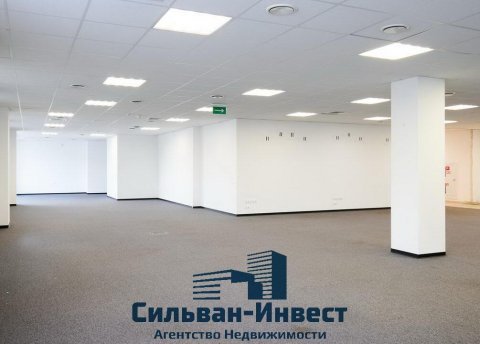 Сдается офисное помещение по адресу г. Минск, Цеткин ул., д. 51 к. А - фото 8