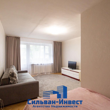 Фотография 1-комнатная квартира по адресу Богдановича ул., д. 139 к. А - фото 4