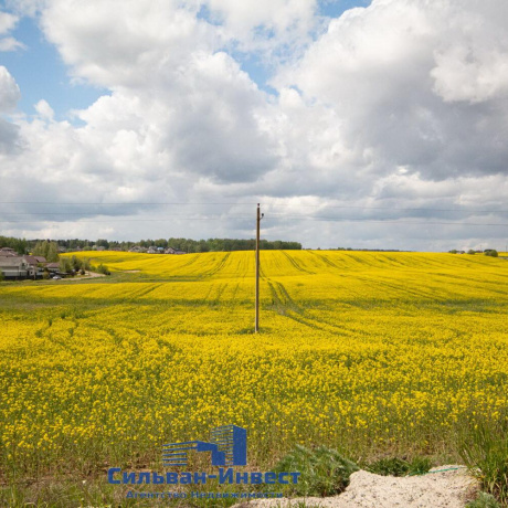 Фотография Продается производственное/складское помещение по адресу д. Кирши, Центральная ул., д. 17 к. Б11 - фото 16