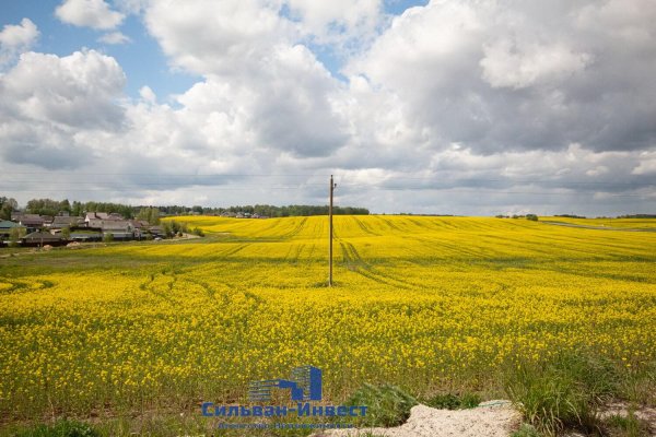 Продается производственное/складское помещение по адресу д. Кирши, Центральная ул., д. 17 к. Б11 - фото 16