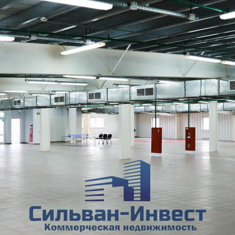 Фотография Сдается производственное/складское помещение по адресу аг. Ждановичи, Заречная ул., д. 1 к. В - фото 5