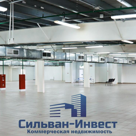 Фотография Сдается офисное помещение по адресу аг. Ждановичи, Заречная ул., д. 1 к. В - фото 4
