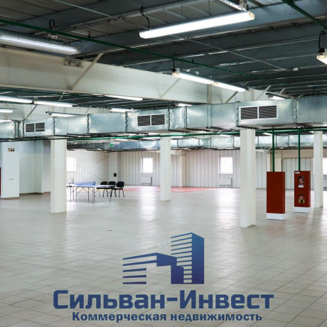 Фотография Сдается офисное помещение по адресу аг. Ждановичи, Заречная ул., д. 1 к. В - фото 7