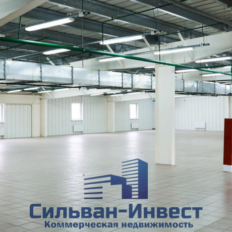 Фотография Сдается офисное помещение по адресу аг. Ждановичи, Заречная ул., д. 1 к. В - фото 5