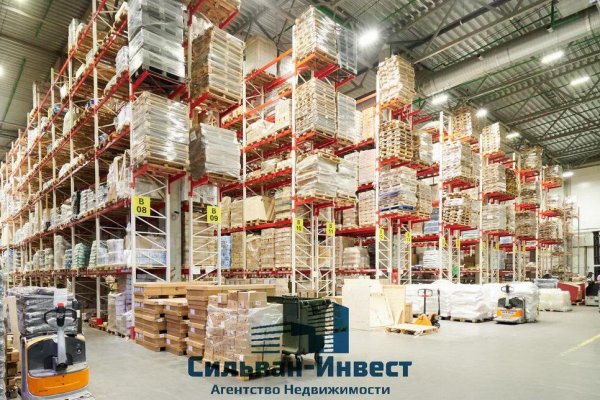 Продается производственное/складское помещение по адресу Боровлянский с/с, , д. 81 к. 1 - фото 7