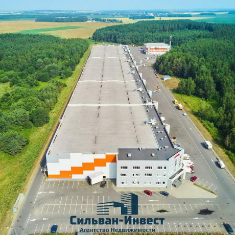 Фотография Продается производственное/складское помещение по адресу Боровлянский с/с, , д. 81 к. 1 - фото 4