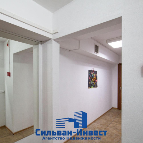 Фотография Сдается офисное помещение по адресу г. Минск, Чехова ул., д. 3 - фото 6
