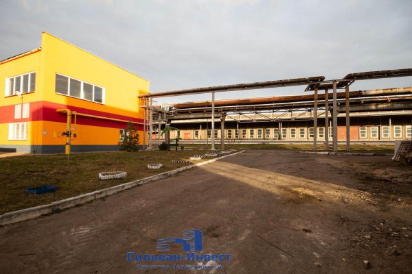 Сдается производственное/складское помещение по адресу аг. Гатово, новодворицкий, д. 4 к. А - фото 8