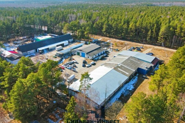 Продается производственное/складское помещение по адресу г. Минск, Танковая ул., д. 10 к. 2 - фото 6