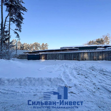 Фотография Сдается производственное/складское помещение по адресу д. Боровая, Боровлянский с/с, д. 88 - фото 8