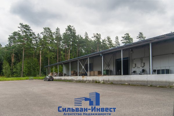 Продается производственное/складское помещение по адресу г. Минск, Павловского ул., д. 11 - фото 5