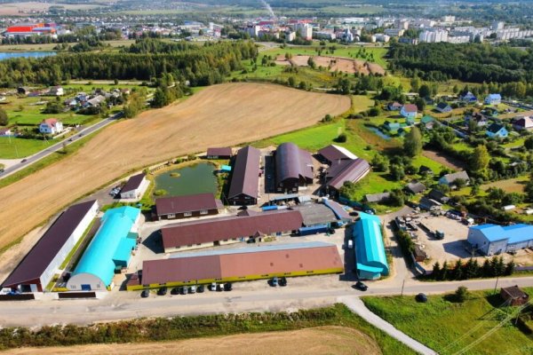 Продается производственное/складское помещение по адресу д. Кирши, Центральная ул., д. 17 к. Б - фото 8