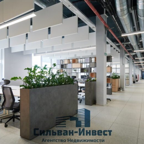 Фотография Сдается помещение по адресу г. Минск, Красная ул., д. 7 к. А - фото 12