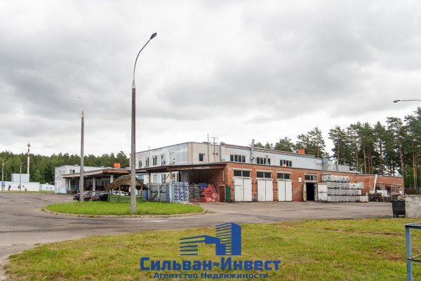 Продается производственное/складское помещение по адресу г. Минск, Павловского ул., д. 11 - фото 5