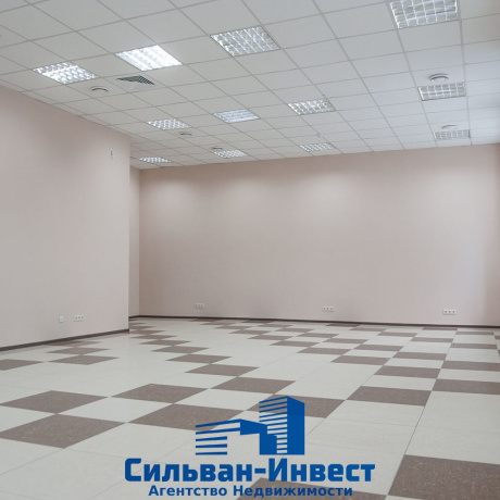 Фотография Сдается офисное помещение по адресу г. Минск, Независимости просп., д. 58 к. В - фото 11