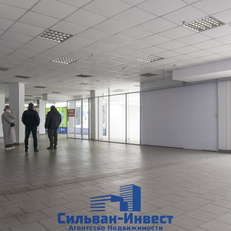 Фотография Продается торговое помещение по адресу г. Минск, Ложинская ул., д. 14 - фото 10