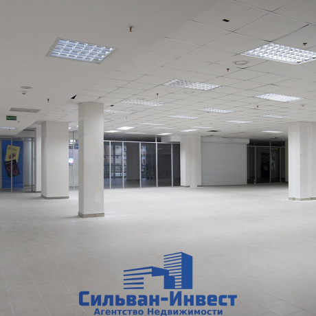 Фотография Продается торговое помещение по адресу г. Минск, Ложинская ул., д. 14 - фото 2