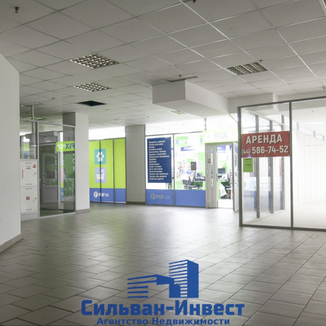Фотография Продается торговое помещение по адресу г. Минск, Ложинская ул., д. 14 - фото 12