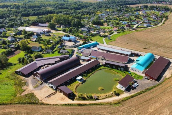 Продается производственное/складское помещение по адресу д. Кирши, Центральная ул., д. 17 к. Б - фото 7