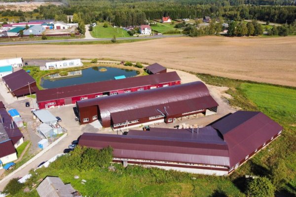 Продается производственное/складское помещение по адресу д. Кирши, Центральная ул., д. 17 к. Б - фото 6