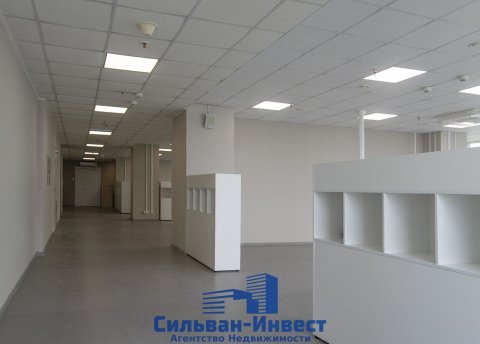 Сдается офисное помещение по адресу г. Минск, Притыцкого ул., д. 156 - фото 13