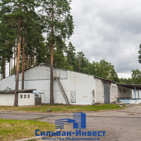 Фотография Сдается производственное/складское помещение по адресу г. Минск, Павловского ул., д. 11 - фото 9